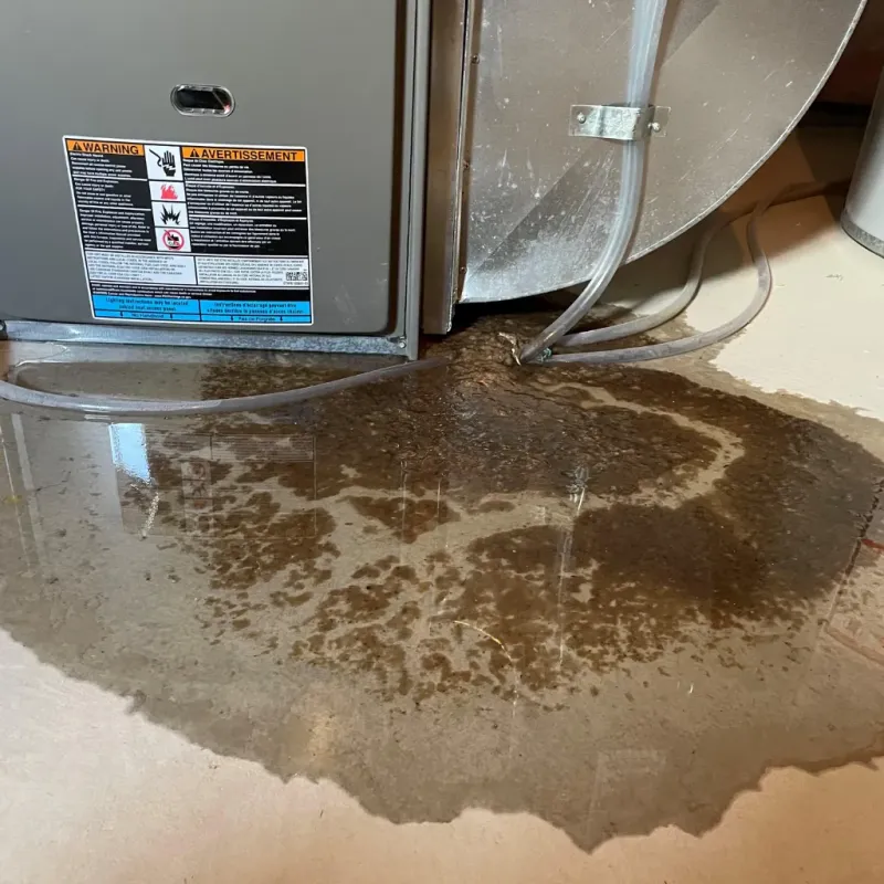 Appliance Leak Cleanup in Avoyelles Parish, LA